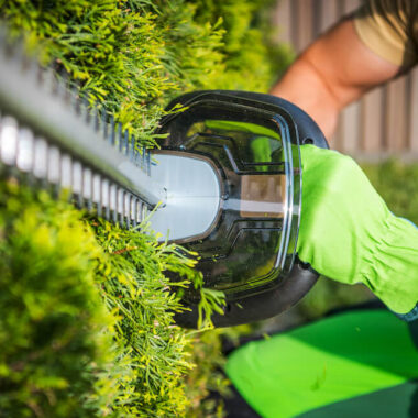 Jakie nożyce do żywopłotu wybrać? Porady i wskazówki